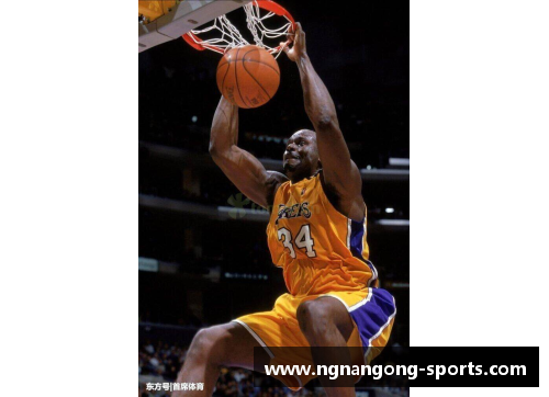 NBA：探索其历史、明星和文化影响